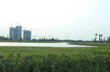 IMG_4864