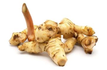 97713882-46da-4399-9a28-00cec618f8fe_169